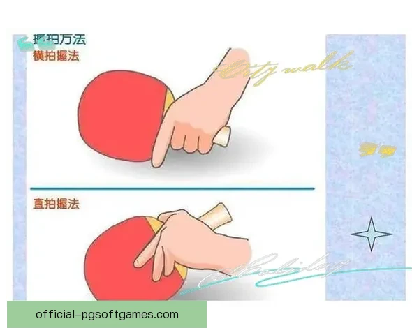 乒乓球初学者全面入门指南