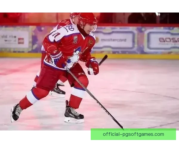 冰球冠军：争霸冰场，风雨无阻