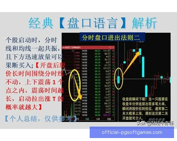 冲浪盘口分析：揭秘成功的关键因素