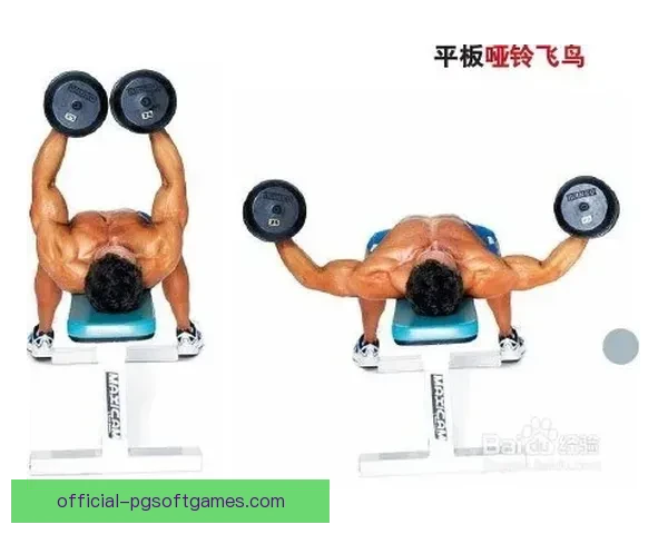 初学者健身：全面入门指南