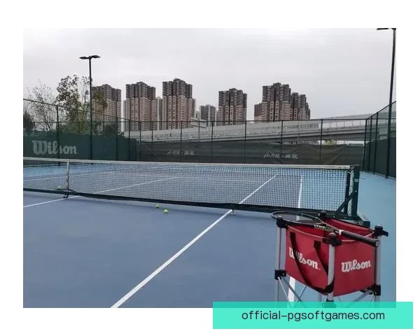 学会打网球的技巧：详细教学视频解读