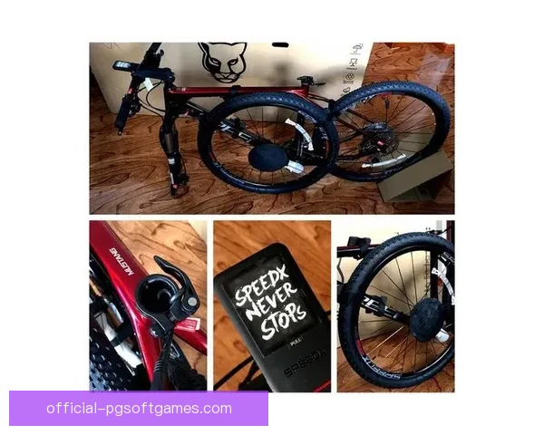 山地车数据分析：揭秘挑战与机遇