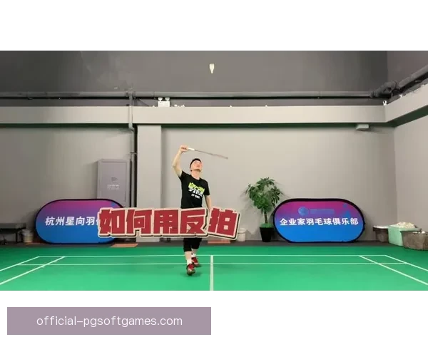 提升羽毛球技能，轻松学习教学视频