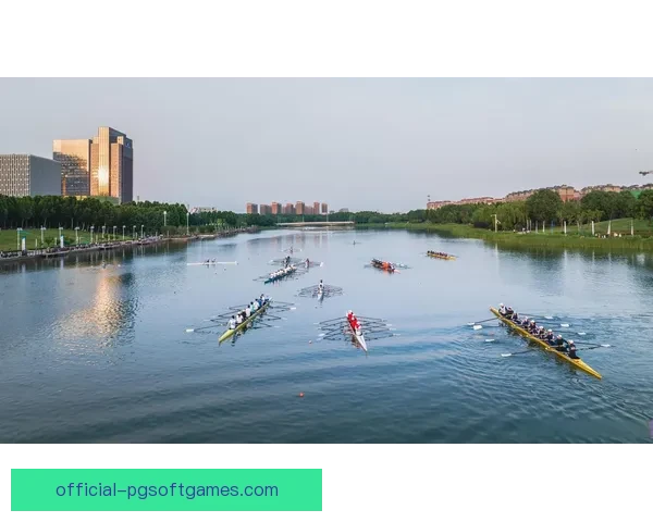 探秘赛艇世界：规则、技术与挑战