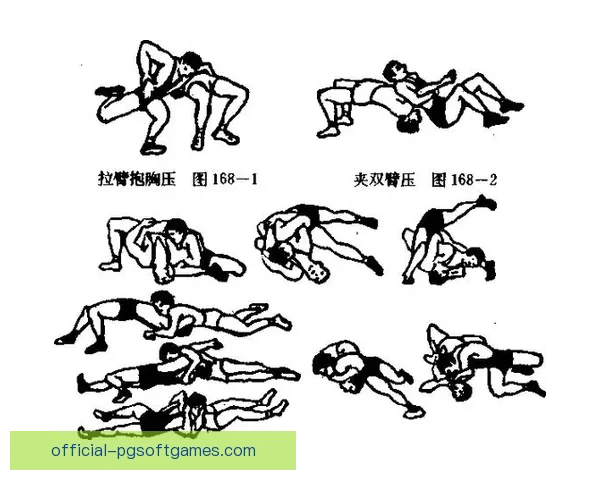 摔跤技巧视频教学：提升实战技能，轻松掌握摔跤技术