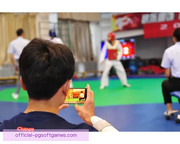 跆拳道数据分析：洞悉技击之道，探寻身心平衡奥秘