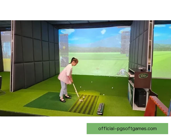 高尔夫规则大揭秘：打球技巧、比赛规则、生涯窍门一网打尽